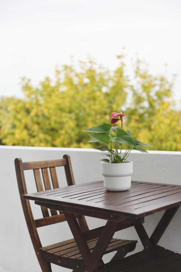 Boavista Sunlit Duplex With Terrace Apartment Porto Exterior foto